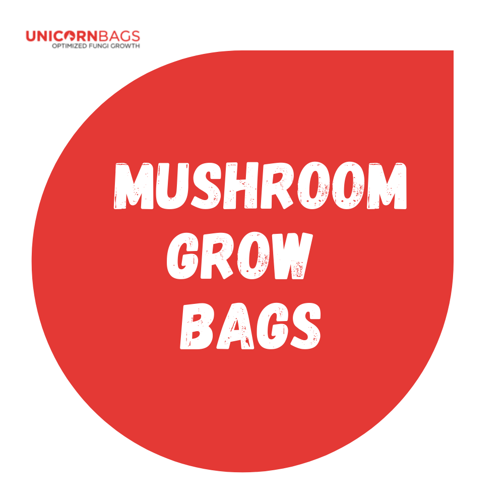 Small Mushroom Grow Bag with 0.2 Micron Filter (4T)