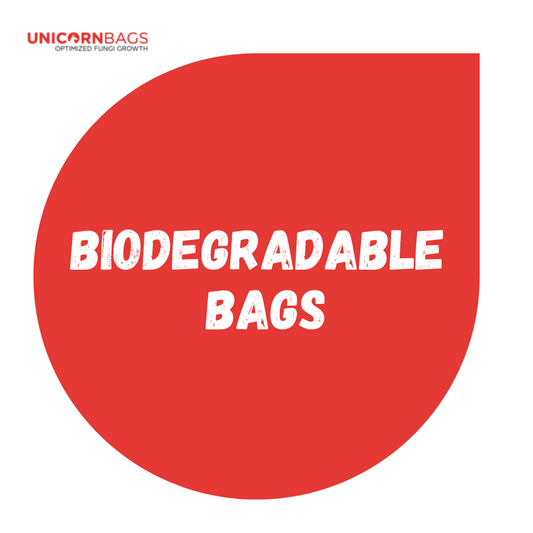 Plastics Are A Problem, Biodegradable Bags Are The Solution