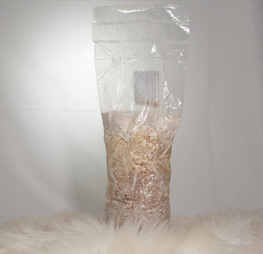 Spawn Bags vs. Fruiting Bags vs. All-in-One Mushroom Bags: Which Do You Need?